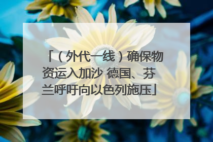 （外代一线）确保物资运入加沙 德国、芬兰呼吁向以色列施压