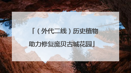 （外代二线）历史植物助力修复庞贝古城花园