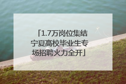 1.7万岗位集结 宁夏高校毕业生专场招聘火力全开
