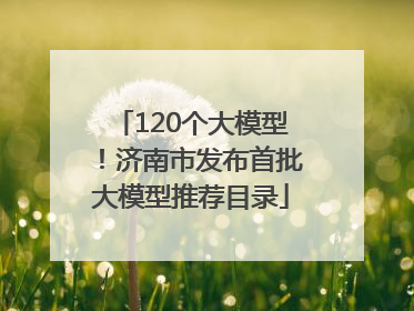 120个大模型！济南市发布首批大模型推荐目录