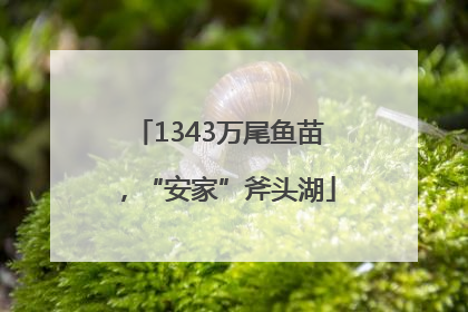 1343万尾鱼苗，“安家”斧头湖