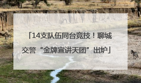 14支队伍同台竞技！聊城交警“金牌宣讲天团”出炉