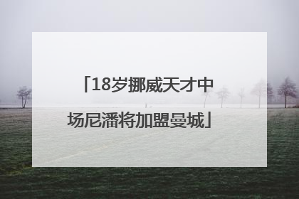 18岁挪威天才中场尼潘将加盟曼城