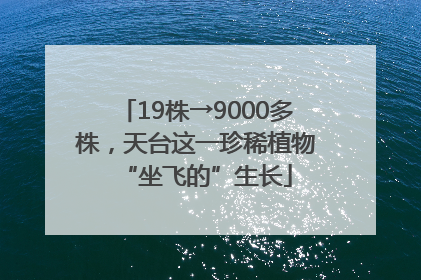 19株→9000多株，天台这一珍稀植物“坐飞的”生长