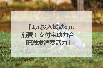 1元投入撬动8元消费！支付宝助力合肥激发消费活力