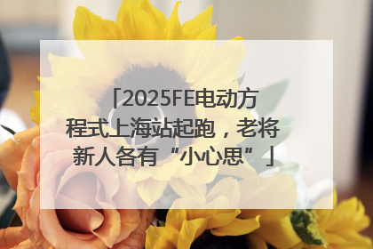 2025FE电动方程式上海站起跑，老将新人各有“小心思”