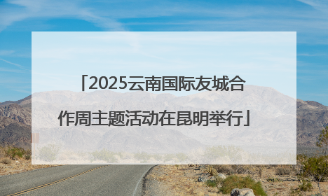 2025云南国际友城合作周主题活动在昆明举行