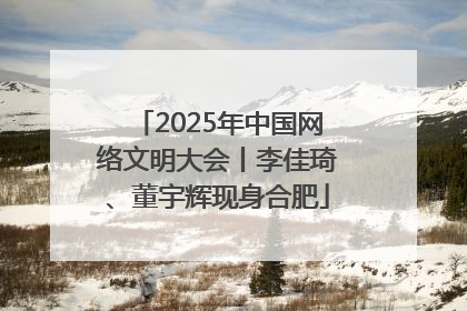 2025年中国网络文明大会丨李佳琦、董宇辉现身合肥