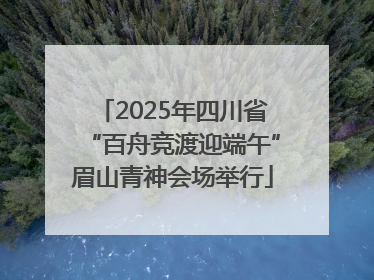 2025年四川省“百舟竞渡迎端午”眉山青神会场举行
