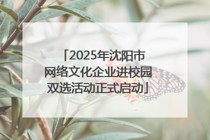 2025年沈阳市网络文化企业进校园双选活动正式启动