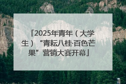 2025年青年（大学生）“青耘八桂·百色芒果”营销大赛开幕