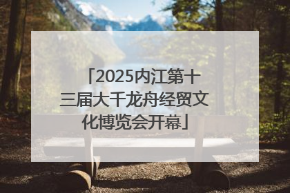 2025内江第十三届大千龙舟经贸文化博览会开幕