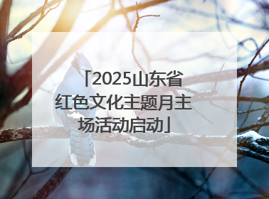 2025山东省红色文化主题月主场活动启动