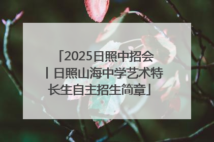 2025日照中招会丨日照山海中学艺术特长生自主招生简章