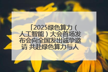 2025绿色算力（人工智能）大会首场发布会向全国发出诚挚邀请 共赴绿色算力与人工智能融合之约