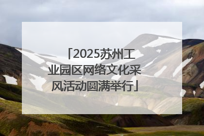 2025苏州工业园区网络文化采风活动圆满举行