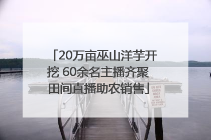 20万亩巫山洋芋开挖 60余名主播齐聚田间直播助农销售