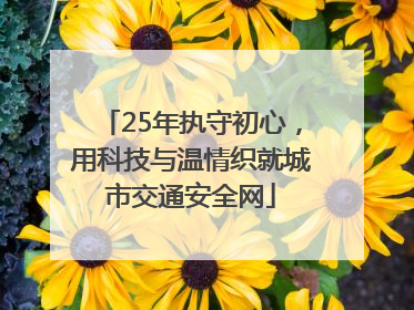 25年执守初心，用科技与温情织就城市交通安全网