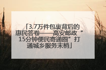 3.7万件包裹背后的惠民答卷——高安邮政“15分钟便民寄递圈”打通城乡服务末梢