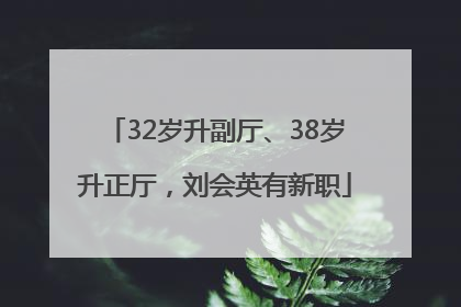 32岁升副厅、38岁升正厅，刘会英有新职