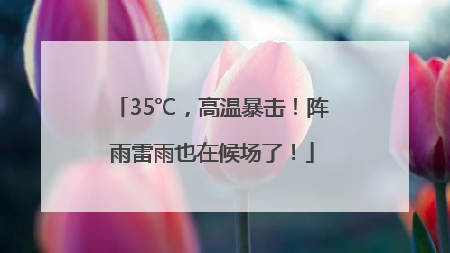 35℃，高温暴击！阵雨雷雨也在候场了！