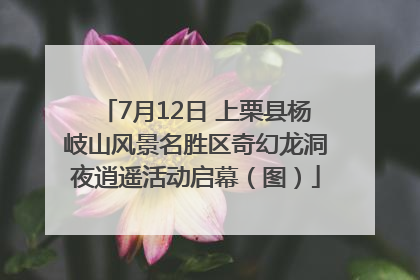 7月12日 上栗县杨岐山风景名胜区奇幻龙洞夜逍遥活动启幕（图）