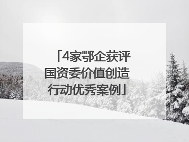 4家鄂企获评国资委价值创造行动优秀案例