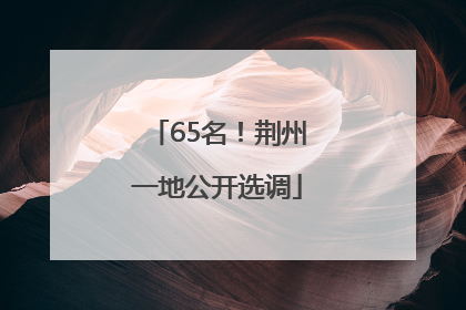 65名！荆州一地公开选调
