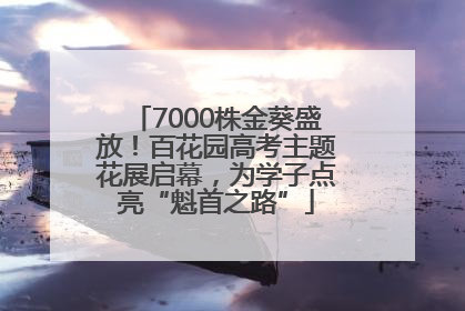 7000株金葵盛放！百花园高考主题花展启幕，为学子点亮“魁首之路”