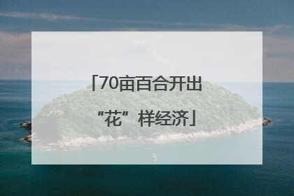 70亩百合开出“花”样经济