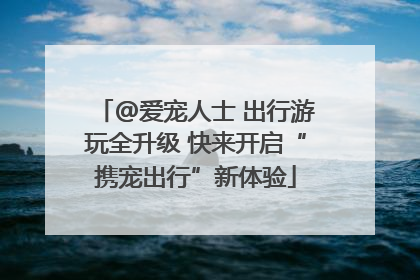 @爱宠人士 出行游玩全升级 快来开启“携宠出行”新体验