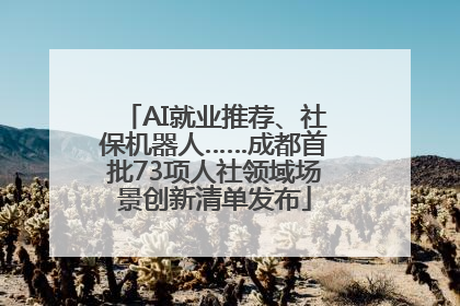 AI就业推荐、社保机器人……成都首批73项人社领域场景创新清单发布