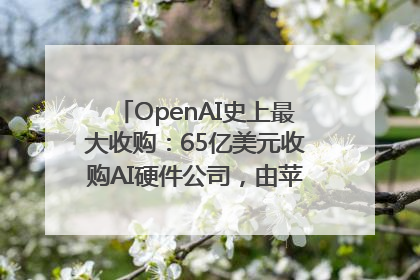 OpenAI史上最大收购：65亿美元收购AI硬件公司，由苹果前设计总监创办
