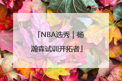 NBA选秀｜杨瀚森试训开拓者