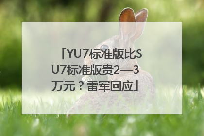 YU7标准版比SU7标准版贵2—3万元？雷军回应
